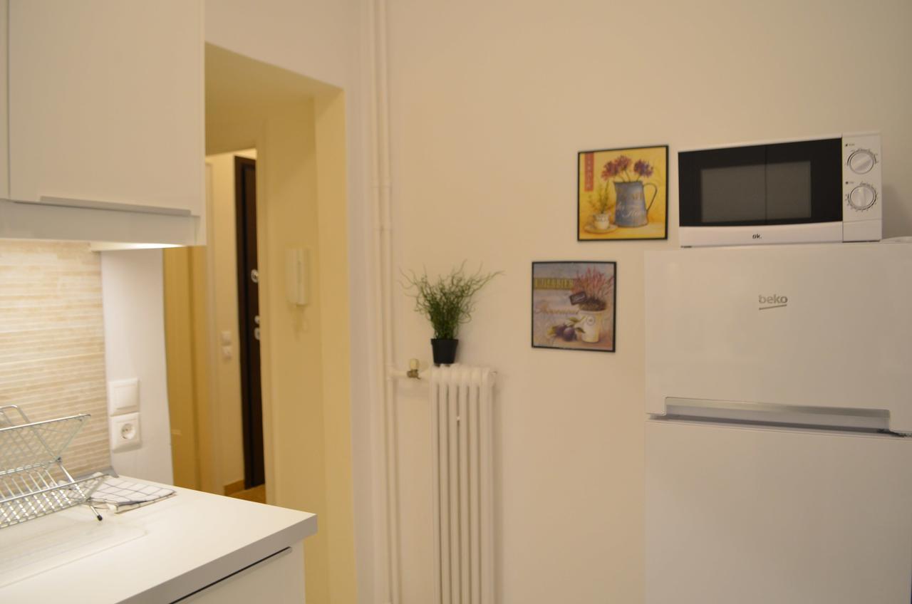 Apartmán Pedion Areos Park 6 Center 6 Atény Exteriér fotografie